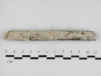 登錄號:F0033082藏品圖，第1張