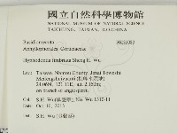 登錄號:F0033083藏品圖，第2張