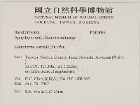 登錄號:F0033086藏品圖，第2張