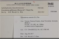 登錄號:F0033086藏品圖，第4張