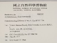 登錄號:F0033087藏品圖，第2張