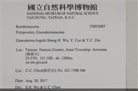 登錄號:F0033087藏品圖，第4張