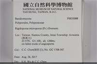 登錄號:F0033088藏品圖，第3張