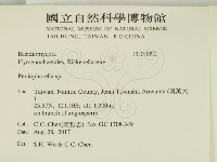 擬筍殼菌屬藏品圖，第2張