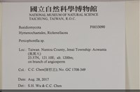 擬筍殼菌屬藏品圖，第3張