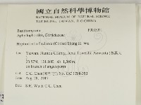 登錄號:F0033091藏品圖，第2張