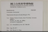 登錄號:F0033091藏品圖，第3張