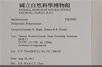 登錄號:F0033092藏品圖，第3張