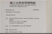 登錄號:F0033093藏品圖，第3張