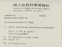 登錄號:F0033094藏品圖，第2張