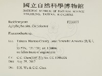 登錄號:F0033095藏品圖，第2張