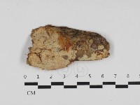 登錄號:F0033095藏品圖，第1張