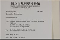 登錄號:F0033095藏品圖，第5張