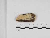 登錄號:F0033096藏品圖，第1張