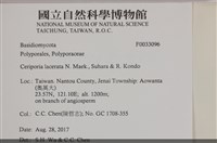 登錄號:F0033096藏品圖，第3張
