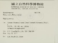 硬孔菌屬藏品圖，第2張