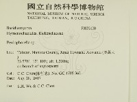 擬筍殼菌屬藏品圖，第2張