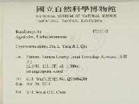 登錄號:F0033101藏品圖，第2張