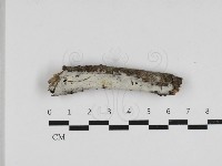 登錄號:F0033103藏品圖，第1張