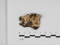 登錄號:F0033104藏品圖，第1張