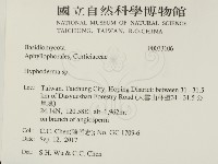 絲皮菌屬藏品圖，第2張