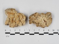 登錄號:F0033109藏品圖，第1張