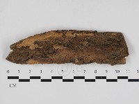 登錄號:F0033110藏品圖，第2張