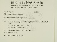 登錄號:F0033111藏品圖，第2張