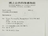 硬孔菌屬藏品圖，第2張