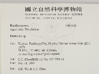 登錄號:F0033116藏品圖，第2張