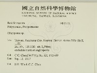 寡孔菌屬藏品圖，第2張