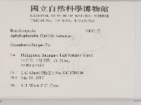 登錄號:F0033122藏品圖，第2張