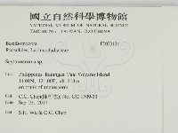 登錄號:F0033124藏品圖，第2張