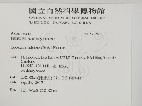 登錄號:F0033126藏品圖，第2張