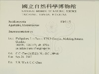 登錄號:F0033127藏品圖，第2張
