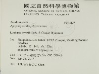 登錄號:F0033129藏品圖，第2張