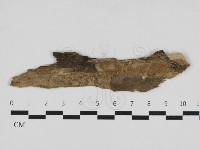 登錄號:F0033130藏品圖，第1張