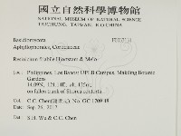 登錄號:F0033131藏品圖，第2張