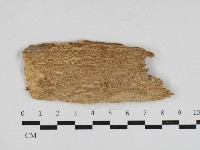 登錄號:F0033131藏品圖，第1張