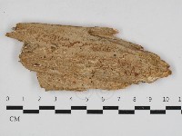 登錄號:F0033132藏品圖，第1張