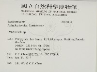 登錄號:F0033134藏品圖，第2張