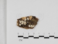 登錄號:F0033134藏品圖，第1張