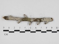 登錄號:F0033135藏品圖，第1張