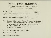 登錄號:F0033136藏品圖，第2張