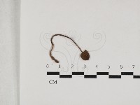 登錄號:F0033136藏品圖，第3張