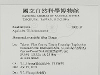 登錄號:F0033137藏品圖，第2張