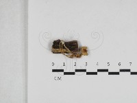 登錄號:F0033138藏品圖，第1張