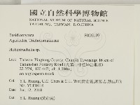 登錄號:F0033139藏品圖，第2張