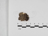 登錄號:F0033139藏品圖，第1張