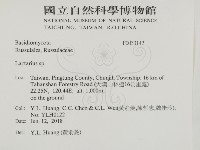 乳菇屬藏品圖，第2張